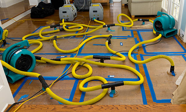 Professional Water Damage Restoration technician working in Encino, CA